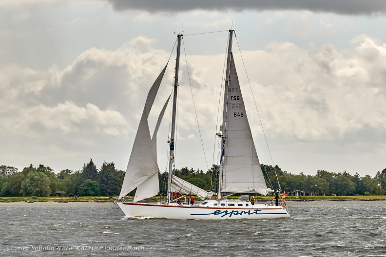 Aalborg Tall Ship race 2 juli 2019 _10007_DSC02578 .jpg
