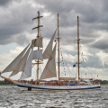 Aalborg Tall Ship race 2 juli 2019  10014 DSC02585 