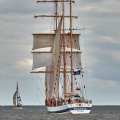 Aalborg Tall Ship race 2 juli 2019 _10017_DSC02588 .jpg