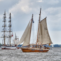Aalborg Tall Ship race 2 juli 2019  10021 DSC02592 