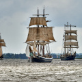 Aalborg Tall Ship race 2 juli 2019  10038 DSC02614 