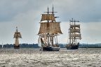 Aalborg Tall Ship race 2 juli 2019  10038 DSC02614 