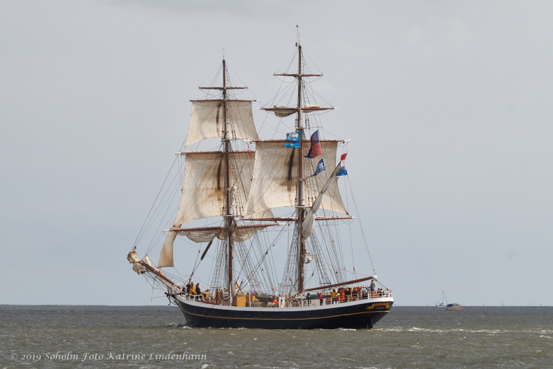Aalborg Tall Ship race 2 juli 2019 _10052_DSC02628 .jpg