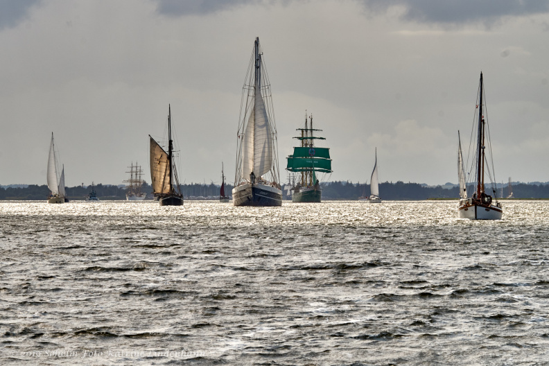 Aalborg Tall Ship race 2 juli 2019 _10081_DSC02659 .jpg