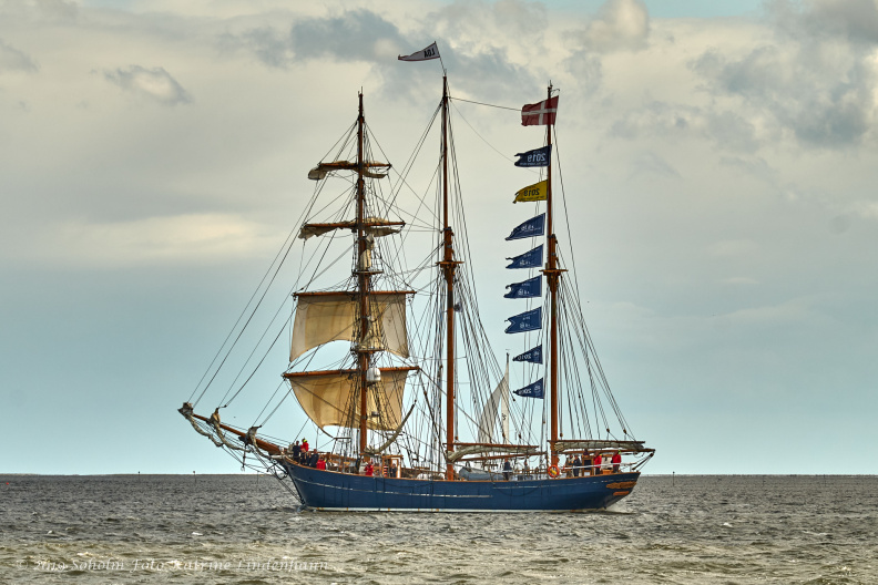 Aalborg Tall Ship race 2 juli 2019 _10083_DSC02662 .jpg