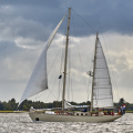 Aalborg Tall Ship race 2 juli 2019  10100 DSC02683 