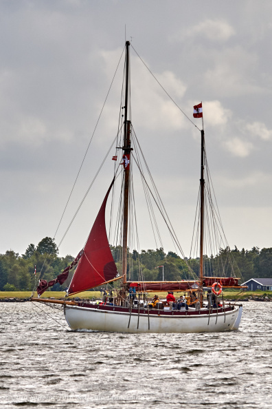 Aalborg Tall Ship race 2 juli 2019 _10107_DSC02691 .jpg