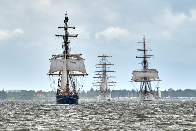 Aalborg Tall Ship race 2 juli 2019 _10137_DSC02722 .jpg
