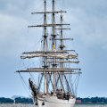 Aalborg Tall Ship race 2 juli 2019  10144 DSC02730 