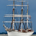 Aalborg Tall Ship race 2 juli 2019  10152 DSC02741 