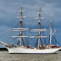 Aalborg Tall Ship race 2 juli 2019  10158 DSC02748 