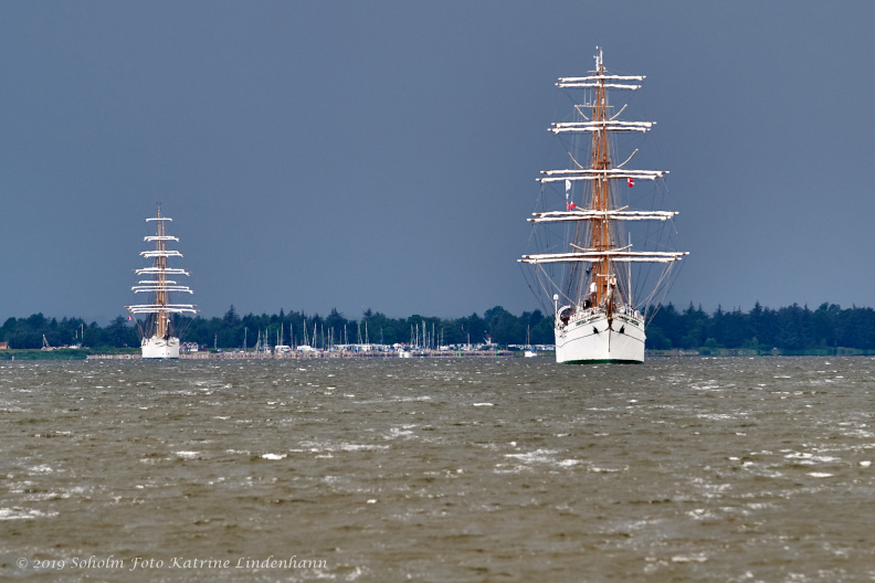 Aalborg Tall Ship race 2 juli 2019 _10163_DSC02753 .jpg