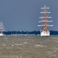Aalborg Tall Ship race 2 juli 2019  10163 DSC02753 