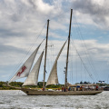 Aalborg Tall Ship race 2 juli 2019  10176 DSC05715 