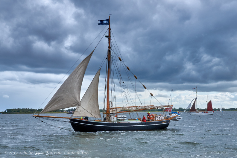 Aalborg Tall Ship race 2 juli 2019 _10180_DSC05719 .jpg