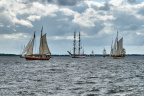 Aalborg Tall Ship race 2 juli 2019  10187 DSC05727 