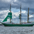Aalborg Tall Ship race 2 juli 2019  10196 DSC05739 