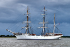 Aalborg Tall Ship race 2 juli 2019  10210 DSC05753 