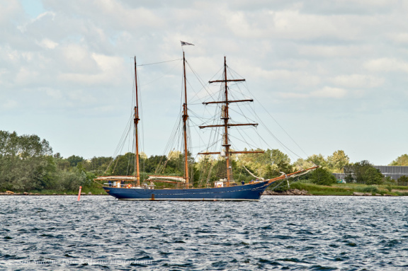 Aalborg Tall Ship race 2 juli 2019  09815 DSC02434 