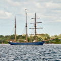 Aalborg Tall Ship race 2 juli 2019  09815 DSC02434 