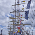 14614 Tall Ships Races 2022 Esbjerg MG 4733