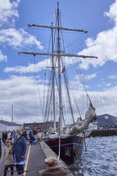 14625 Tall Ships Races 2022 Esbjerg MG 4752