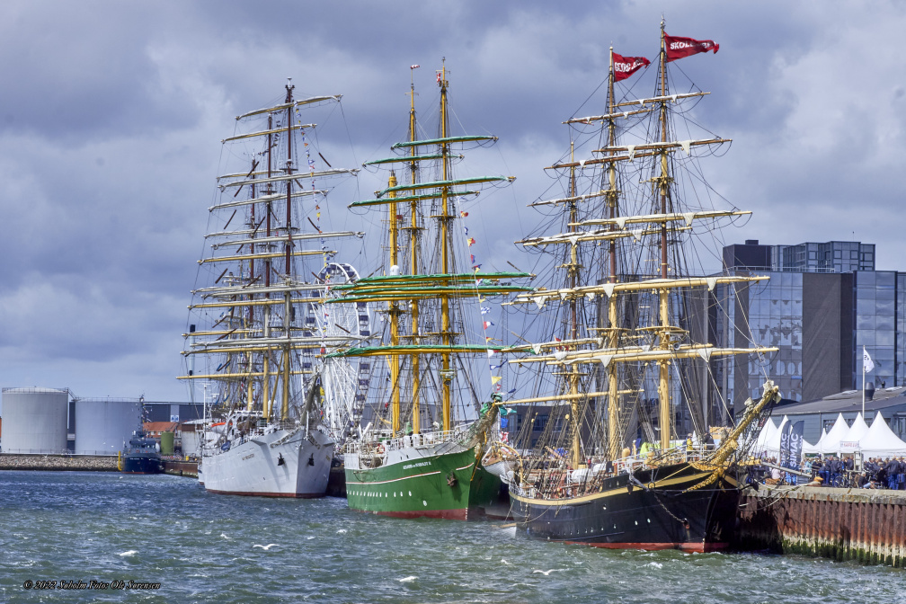 14629 Tall Ships Races 2022 Esbjerg MG 4756