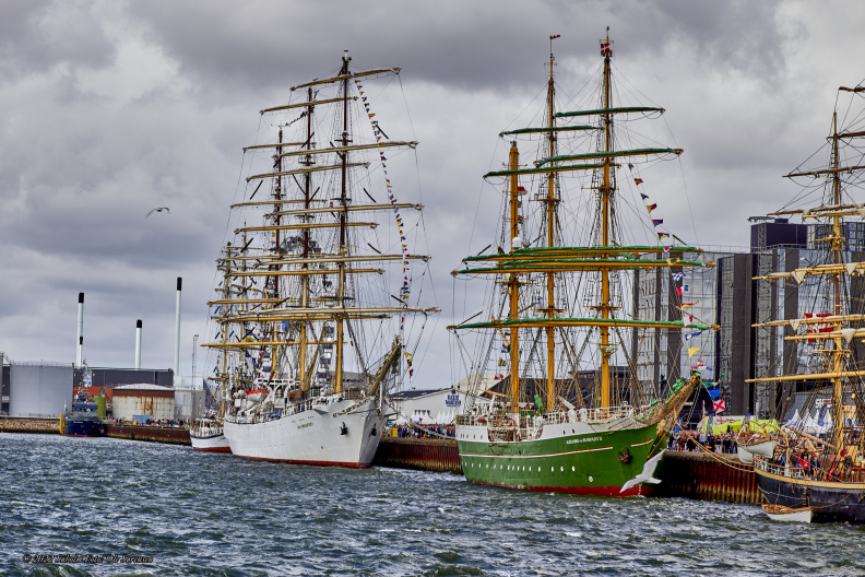 14631 Tall Ships Races 2022 Esbjerg MG 4758