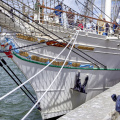 14642 Tall Ships Races 2022 Esbjerg MG 4770