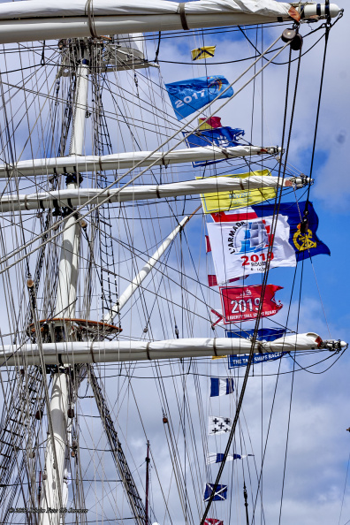 14645_Tall Ships Races 2022 Esbjerg_MG_4773.jpg