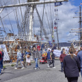 14646 Tall Ships Races 2022 Esbjerg MG 4775