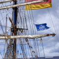 14649 Tall Ships Races 2022 Esbjerg MG 4778