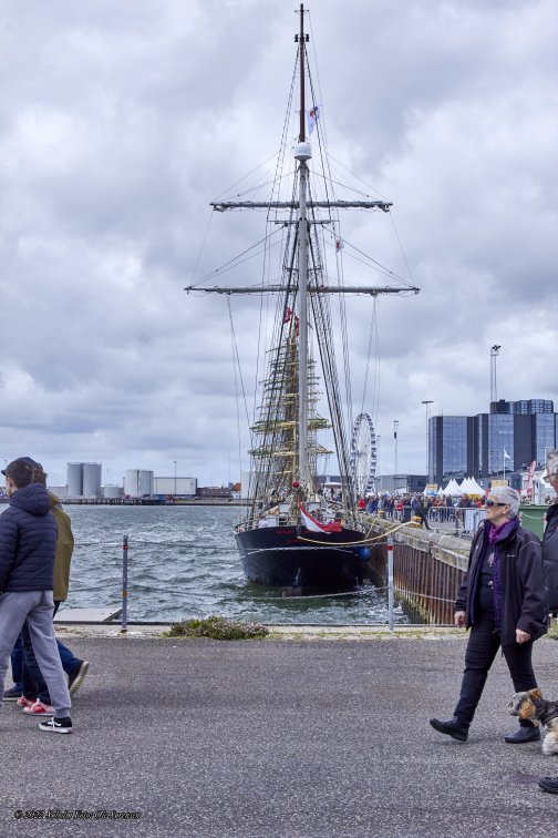 14652 Tall Ships Races 2022 Esbjerg MG 4781
