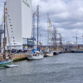 14654_Tall Ships Races 2022 Esbjerg_MG_4786.jpg