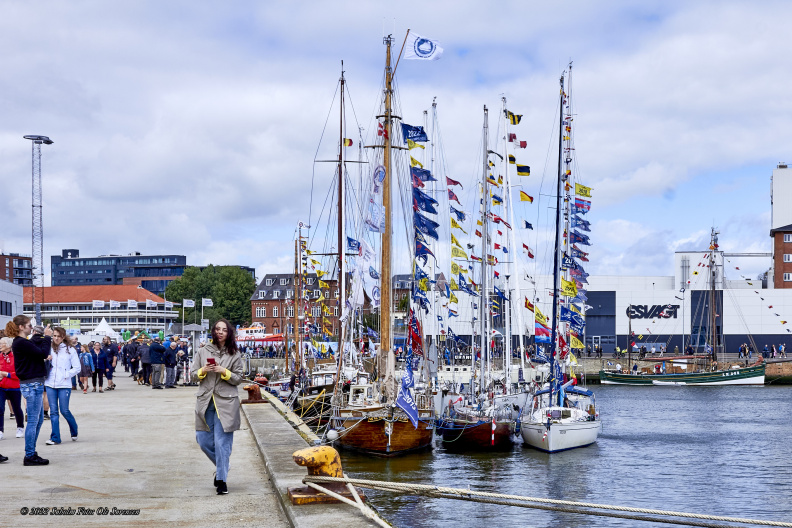 14664_Tall Ships Races 2022 Esbjerg_MG_4807.jpg