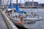 14668 Tall Ships Races 2022 Esbjerg MG 4822